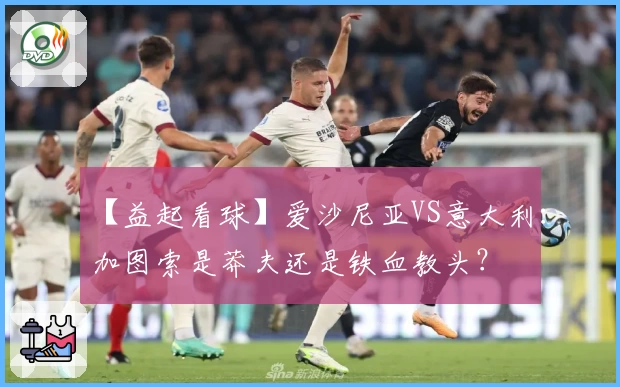 【益起看球】爱沙尼亚VS意大利：加图索是莽夫还是铁血教头？