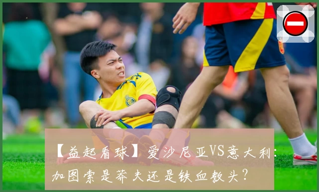 【益起看球】爱沙尼亚VS意大利:加图索是莽夫还是铁血教头?